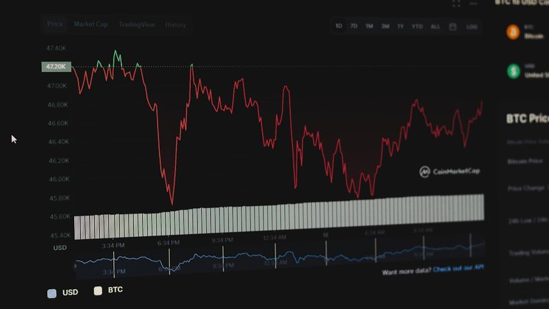 BTC's January 2025 bull flag — flagpole, consolidation, and breakout clearly visible