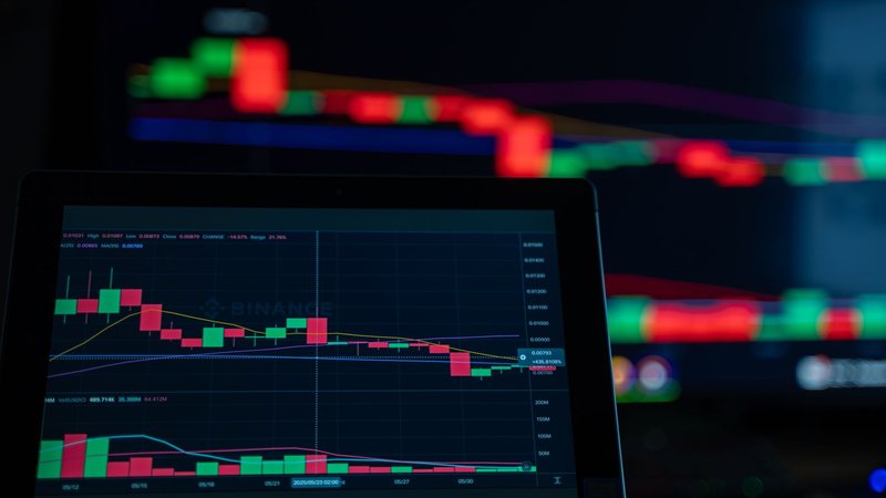 Blue-chip Solana meme coins compared across a 12-month window