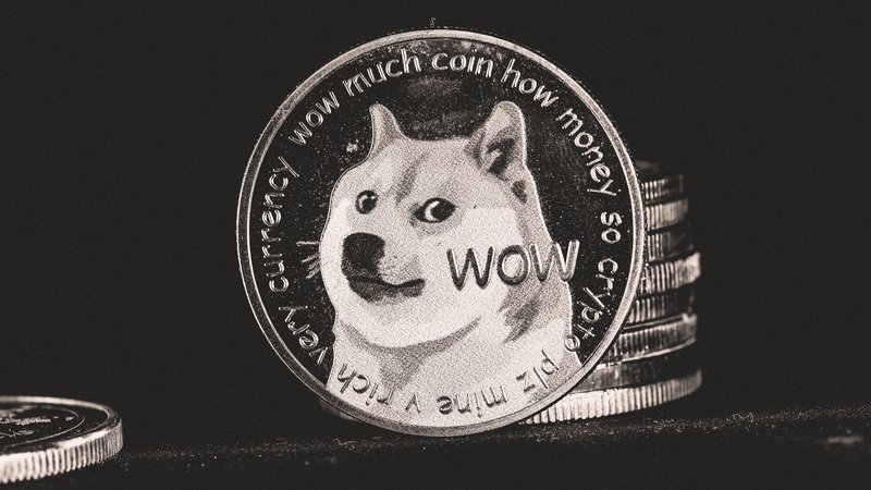 Dogecoin and Shiba Inu — two survivors in a category where most tokens die within days.